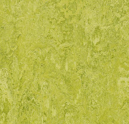  Marmoleum Marbled Decibel Real 322435 Chartreuse - 3.5