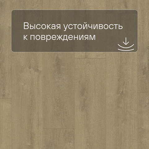 QS LIVYN Balance Click BACL 40159 Дуб бархатный песочный (фото 5)