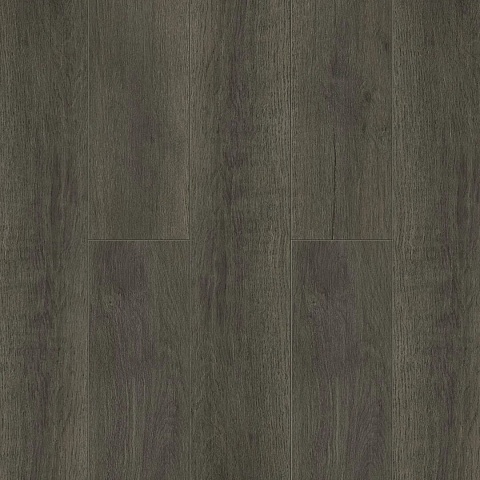 Norland Sigrid Plus SPC (CH) 1006-2 Baggy 4V 43кл (фото 1)