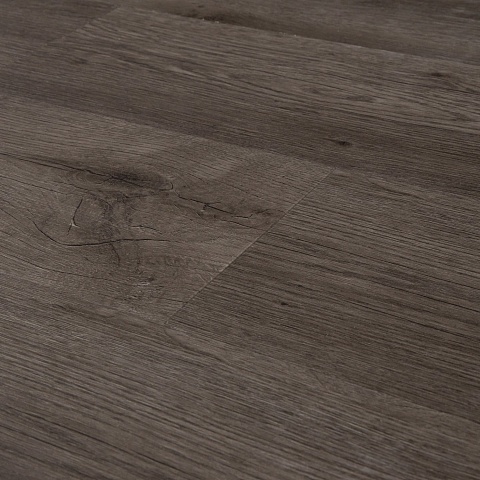 ADELAR SPC Eterna Acoustic Major Oak 05929LG (фото 7)