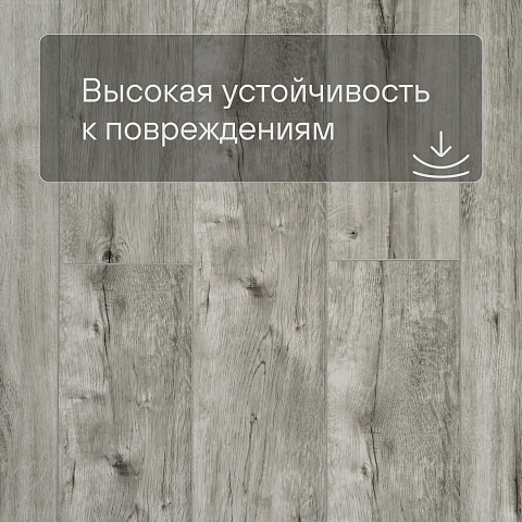 Deck Сенсо 4V 2016-9 Дуб Восточный (фото 8)