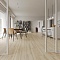 EvoFloor Home (Rus) Oak White (миниатюра фото 1)