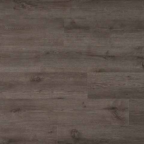 ADELAR SPC Eterna Acoustic Major Oak 05929LG (фото 1)