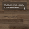 QS SPC Atmosphere ASPC 20247 Дуб натуральный темный (миниатюра фото 5)