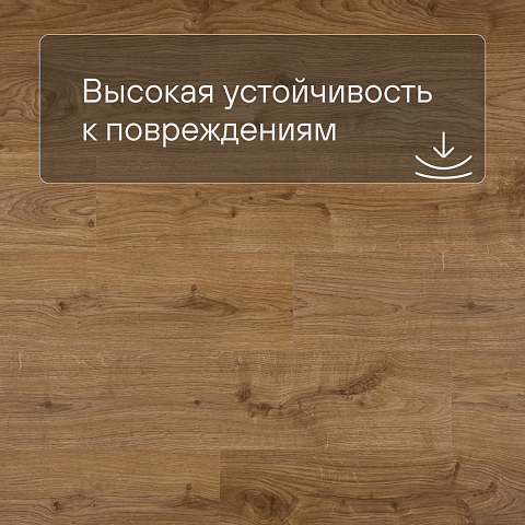 QS Second choice Alpha BLOS BASE  SPE40025 - AVSPT 40025 Дуб коттедж натуральный (фото 5)