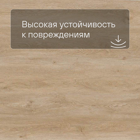 Evofloor Life Click 4.2mm (CN) Oak Crete (фото 5)