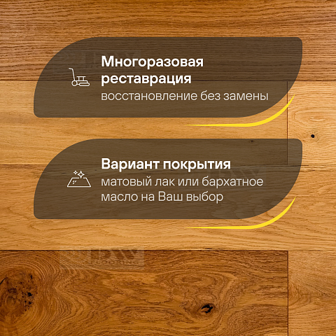 DW FLOORING 12 мм Дуб бежевый DW CDL 023 лак матовый с фаской (фото 4)