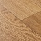 Premium Falco 2_1159 (миниатюра фото 14)
