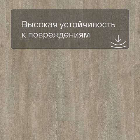 Quick Step LIVYN Balance Glue Plus BAGP 40053 Серо-бурый шёлковый дуб (фото 5)